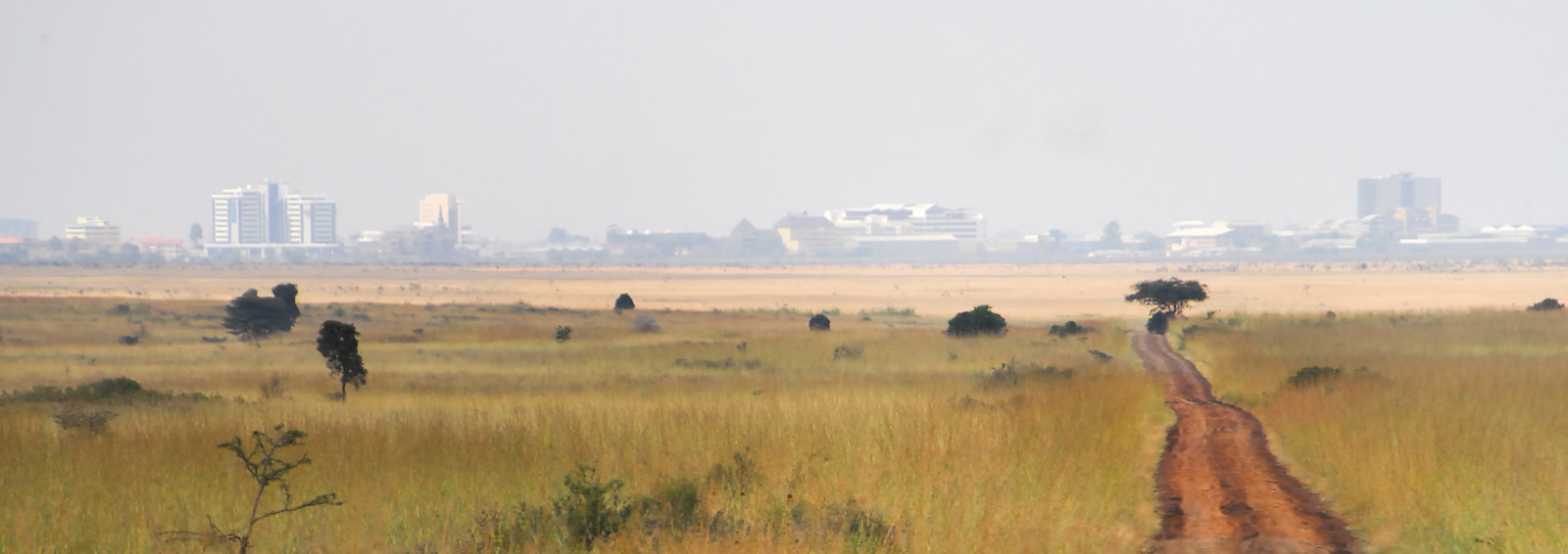 nairobi national park