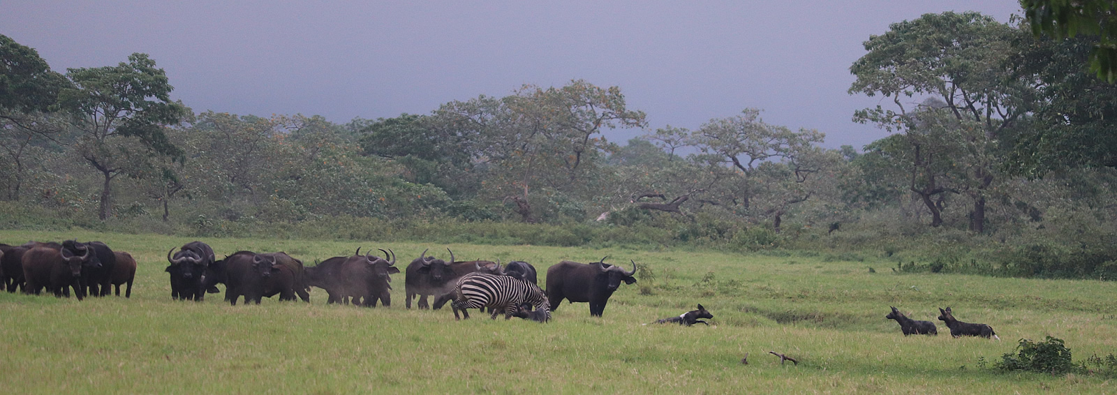 arusha national park