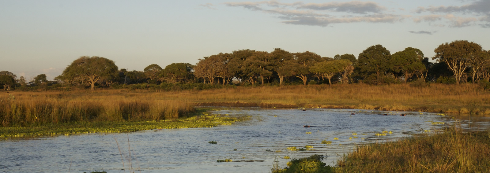 katavi national park