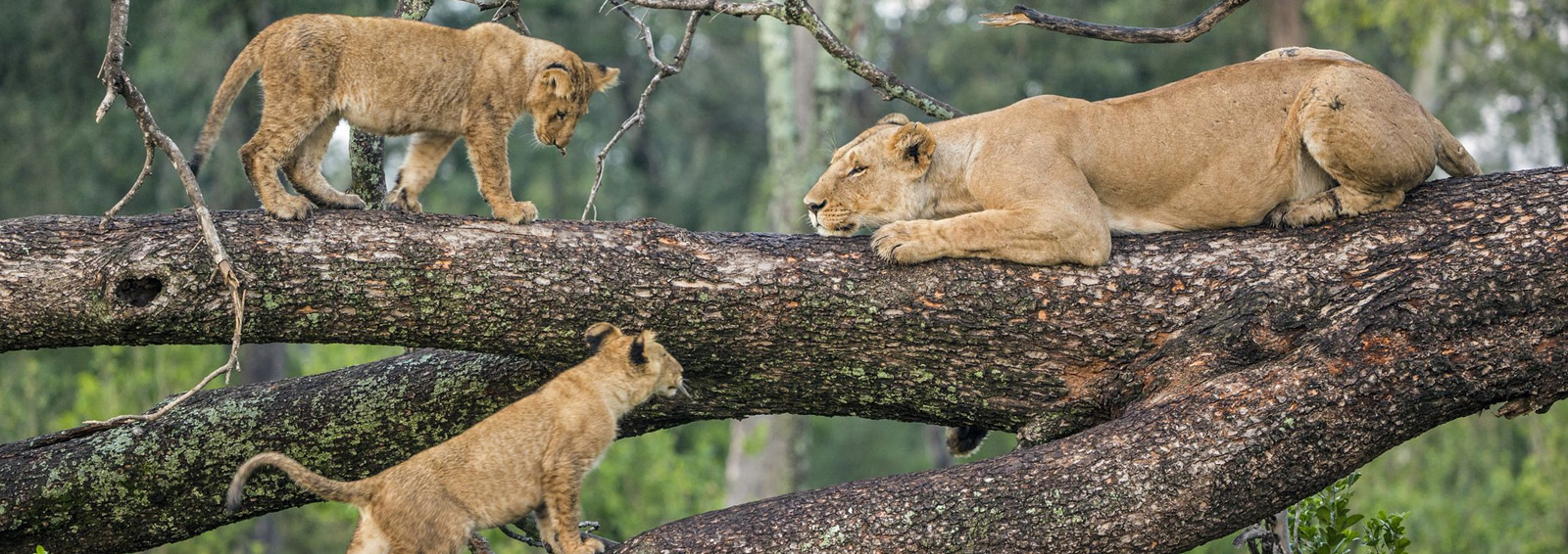 lake manyara national park