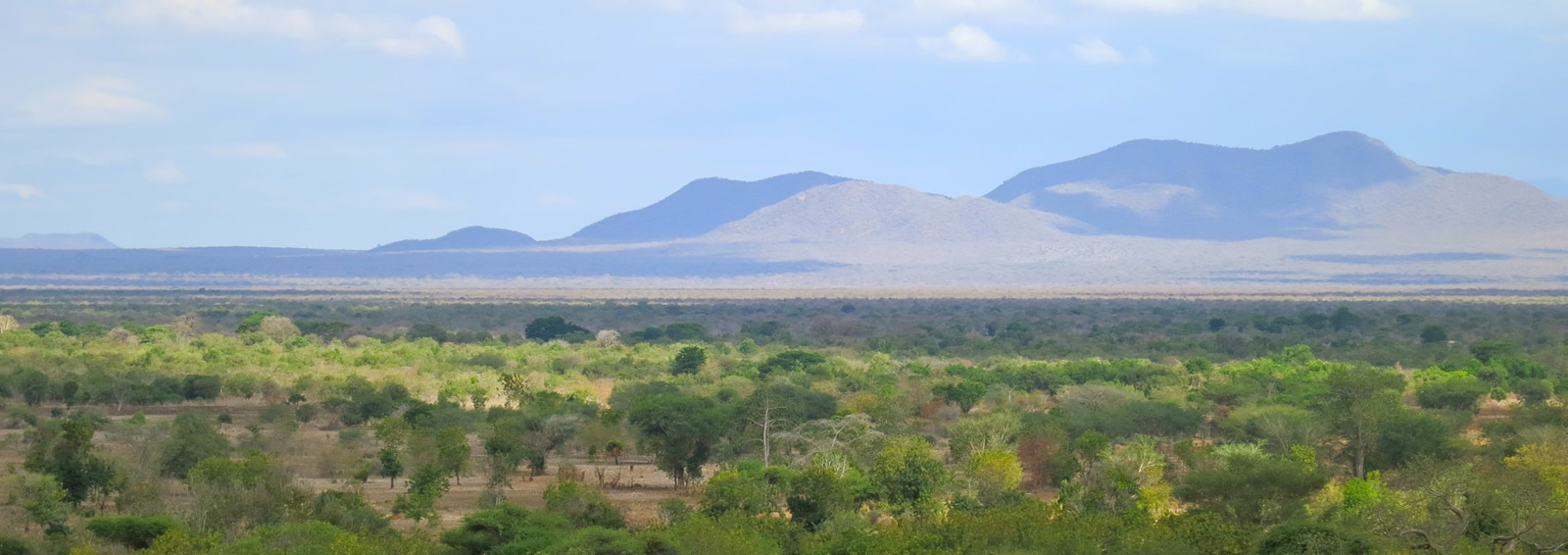 mkomazi national park