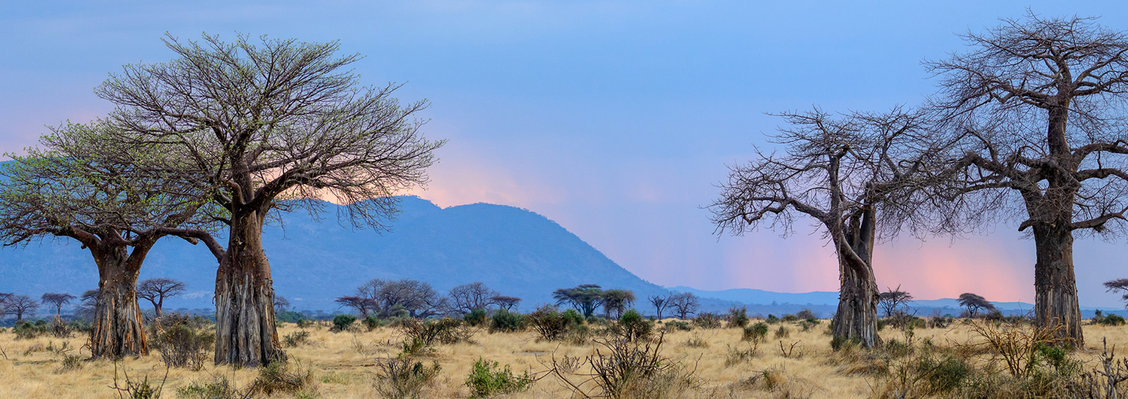 ruaha national park
