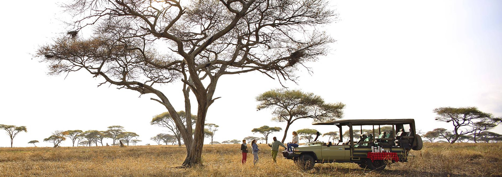 tarangire national park