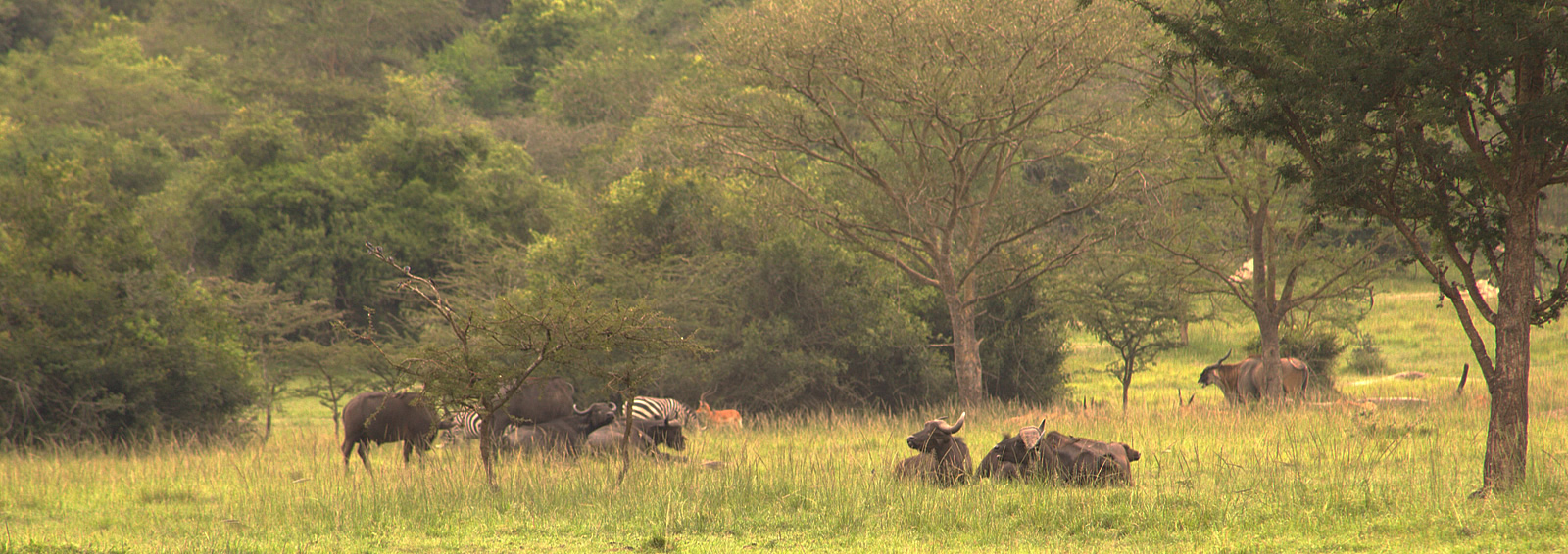 lake mburo national park