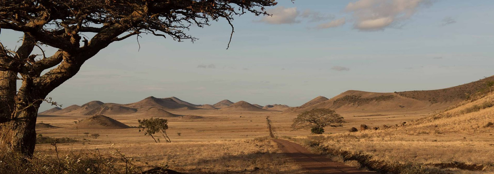 14 days untamed africa adventure