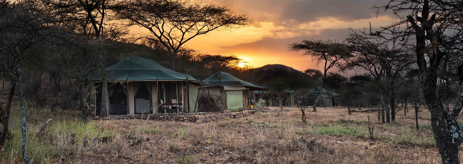 4 days tanzania highlights safari