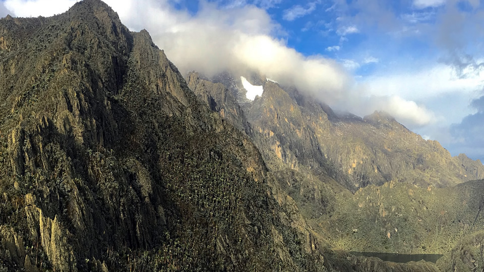 5 days gorillas in the mist + virungas