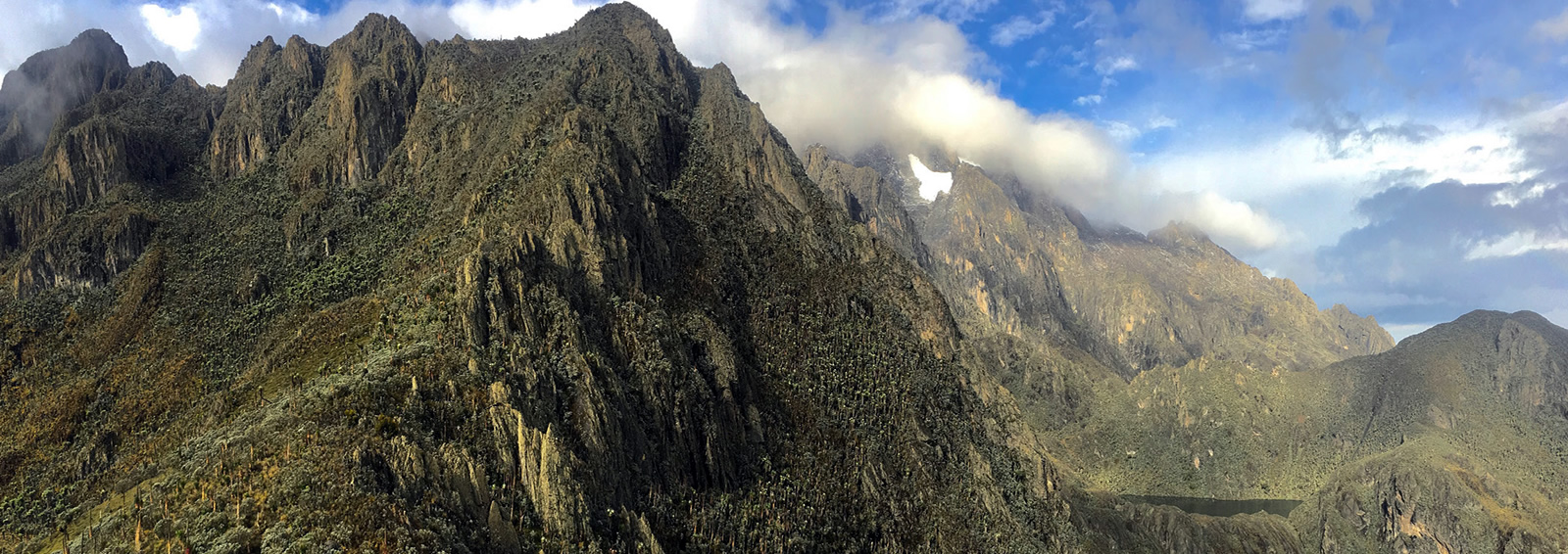 5 days gorillas in the mist + the virungas