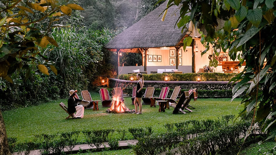 5 days uganda bwindi forest