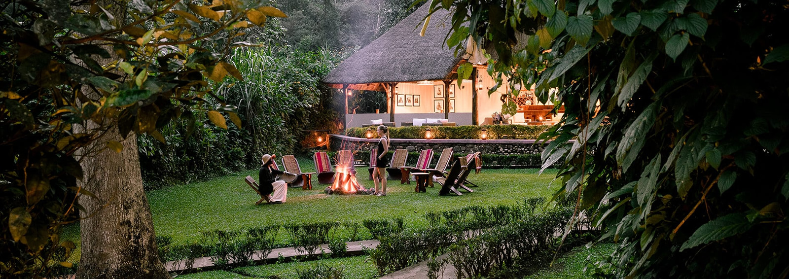 5 days tailormade uganda bwindi impenetrable forest