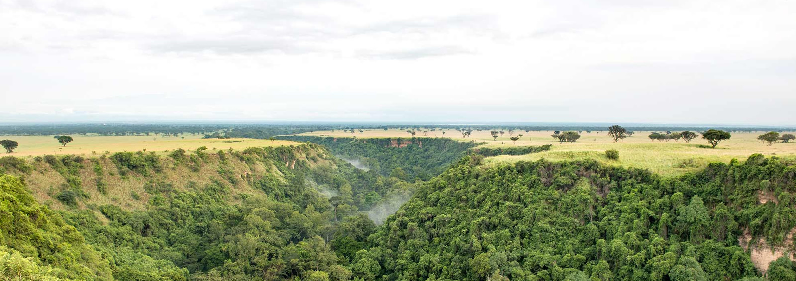 6 days bwindi + queen elizabeth national park