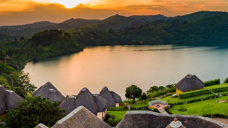 6 days gorillas, wildlife & primates