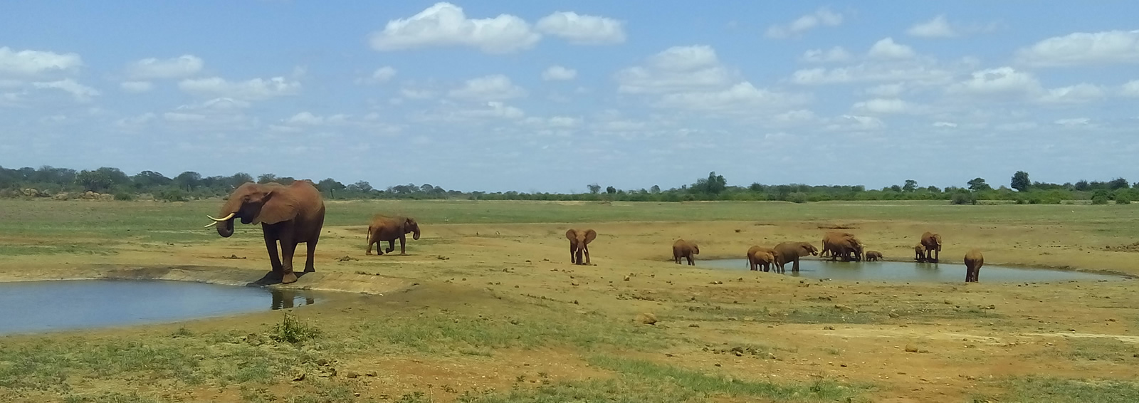 9 days south of kenya safari