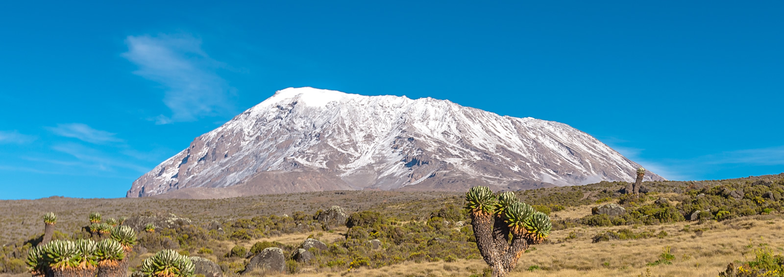 7 days kilimanjaro shira route