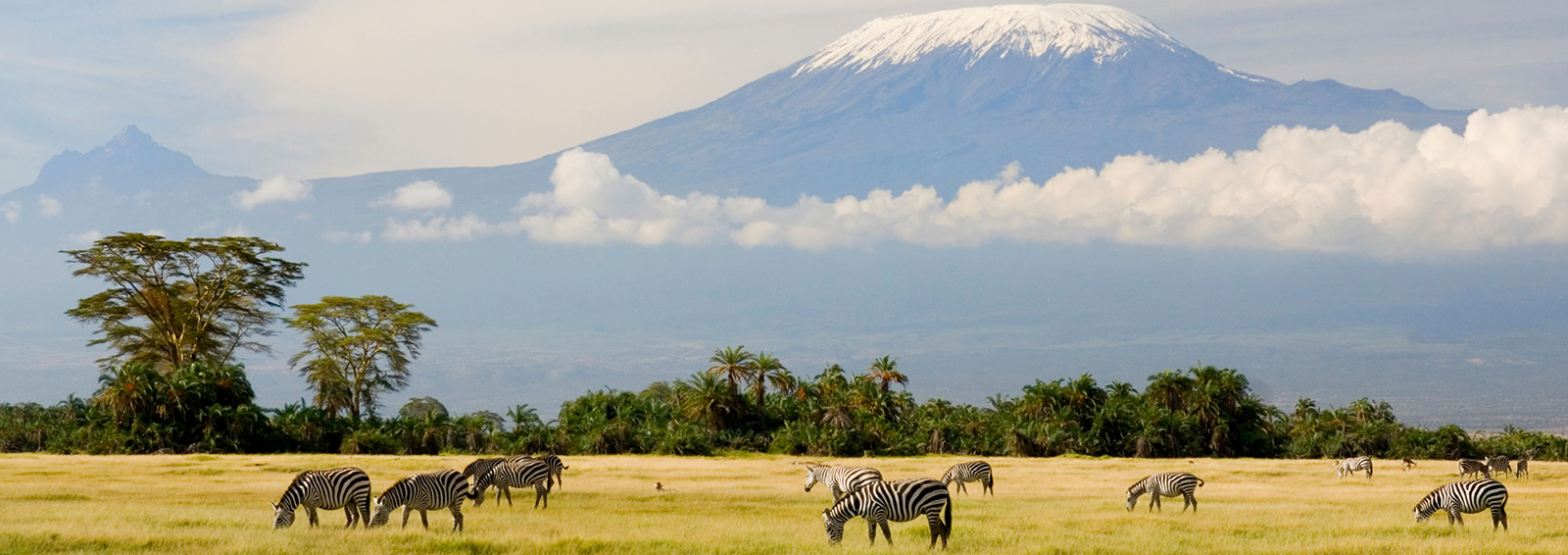 8 days kilimanjaro lemosho route