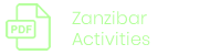 zanzibar activities